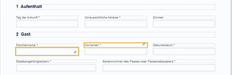 Two selected fields with an orange frame on the page
